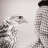 Ghareeb Bin Taref 的头像