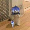 Profilbild von Urantsetseg Narmandakh