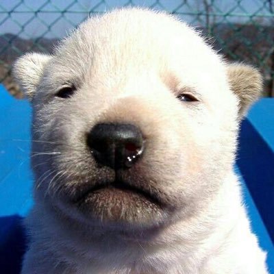 결's profile picture