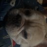 Yvonne profil fotoğrafı