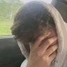 Profilbild von Harry (Motive) Stan