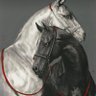 Фото профиля MJEED