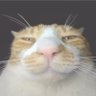 GOKU's profile picture