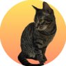 emiねこ 的头像