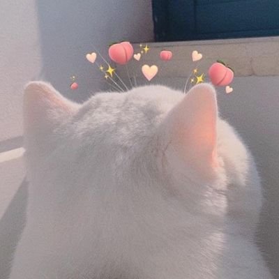 Pnxya_'s profile picture