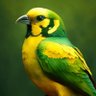 SnakepitCanary profil fotoğrafı