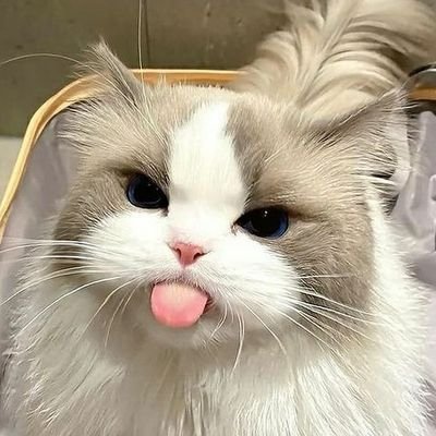 •นิหน่า=นน.•3695•ft.BUS•🍑🥐💖's profile picture
