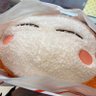 らふぁちん profil fotoğrafı