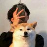 Profilbild von NACEN