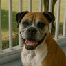 Profilbild von RightSideRobert