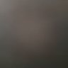 Coccolina49's profile picture
