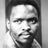 THE ACTIVIST 2.0 profil fotoğrafı