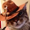 GatitoDelCongoUrbano🇦🇷🐈‍⬛ profil fotoğrafı