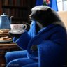 Ted #Wexit #Albertaseparation 的头像