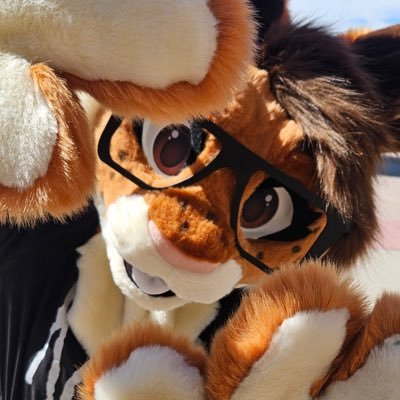 🐰💙CIDER➡️BSKY💙🐰's profile picture