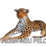 totalmente terceiro mundo profil fotoğrafı