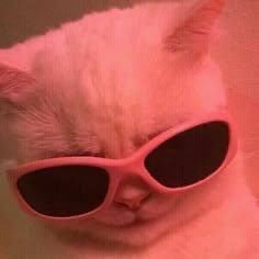 mpamm_'s profile picture