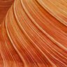 Patience Process Progress's profile picture