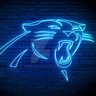 Фото профиля RandomPanthersFan