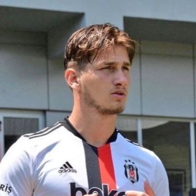 Tarık's profile picture