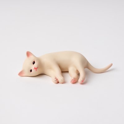 土屋仁応スタジオ's profile picture