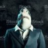 Profilbild von Sharkagain