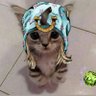EZLY 的头像