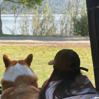 大海（互fo）'s profile picture