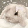 cionvoy's profile picture