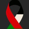 bchafik-mtl🇵🇸🇵🇸🇵🇸 的头像