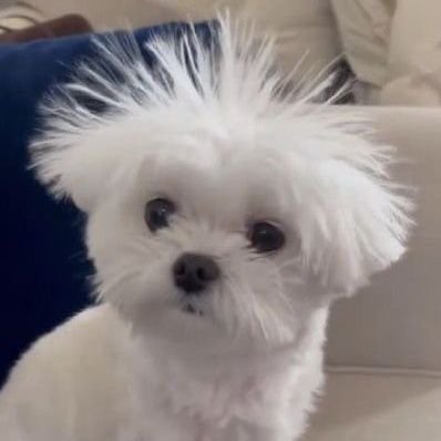𝙝𝙝.'s profile picture