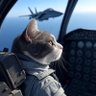 名無し猫 profil fotoğrafı