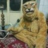Efekan's profile picture