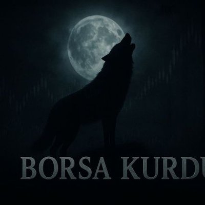 borsa kurdu's profile picture
