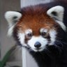 はるかパパ profil fotoğrafı