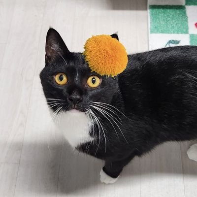순대후추소금🌼's profile picture