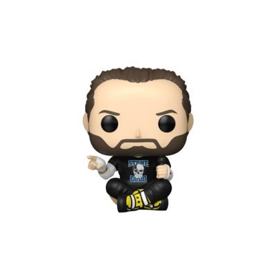 hourly cm punk's profile picture