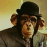 yesbwana's profile picture