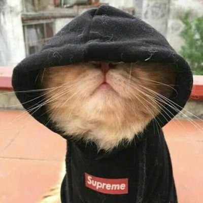 KillboyzS's profile picture