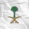عبدالله الروقي's profile picture