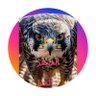 الصقرالحر's profile picture