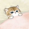 🐈‍⬛ profil fotoğrafı