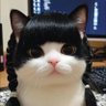 Mirariroka 的头像