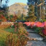 GORAKA profil fotoğrafı