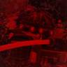 Profilbild von Riley | The Night Raider