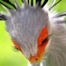 Profilbild von MorePlus