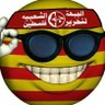 Profilbild von Socialisme i Turismofòbia