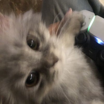 _sobii's profile picture