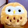 みみ's profile picture