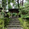 ただ日本が良くなってほしいだけ 的头像